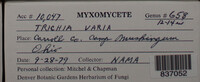 Image Associated With the Occurence